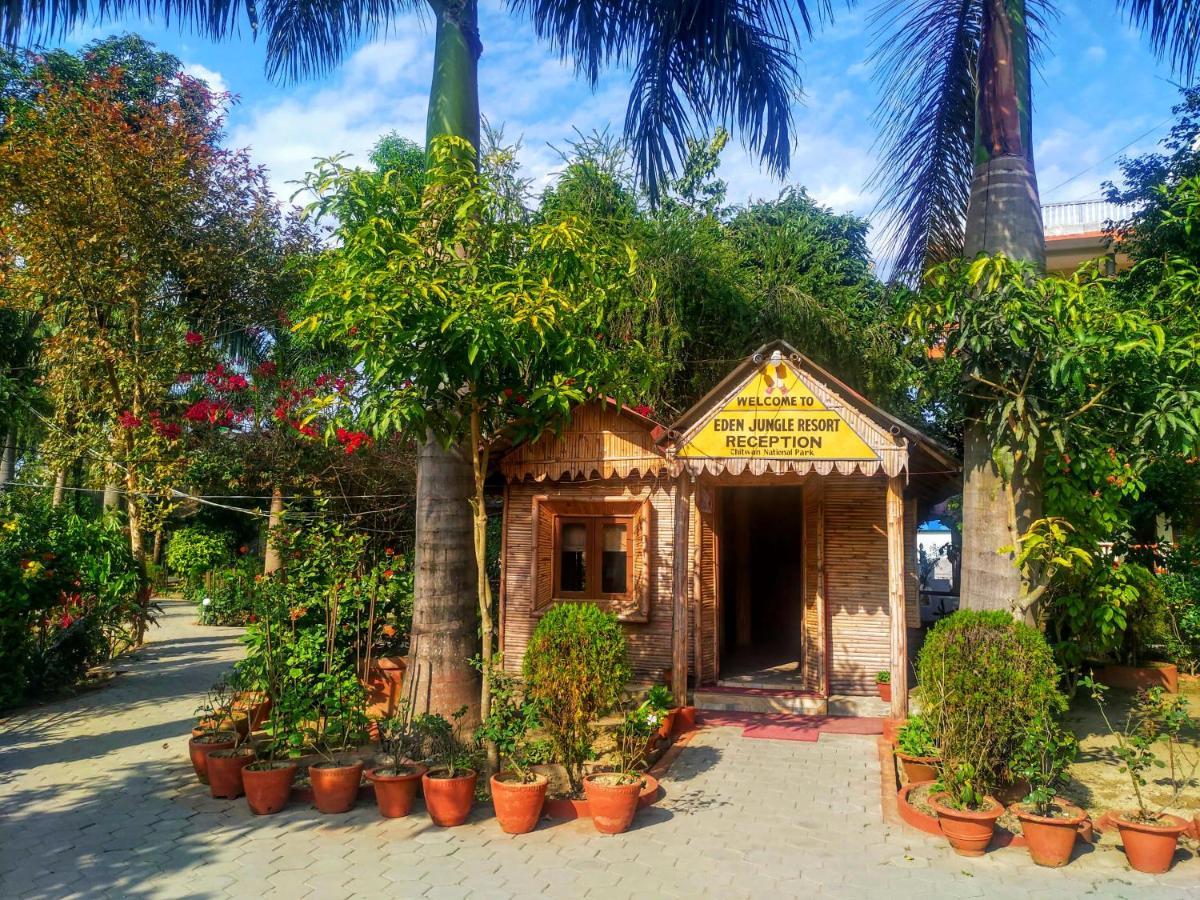 סאורהה Eden Jungle Resort מראה חיצוני תמונה