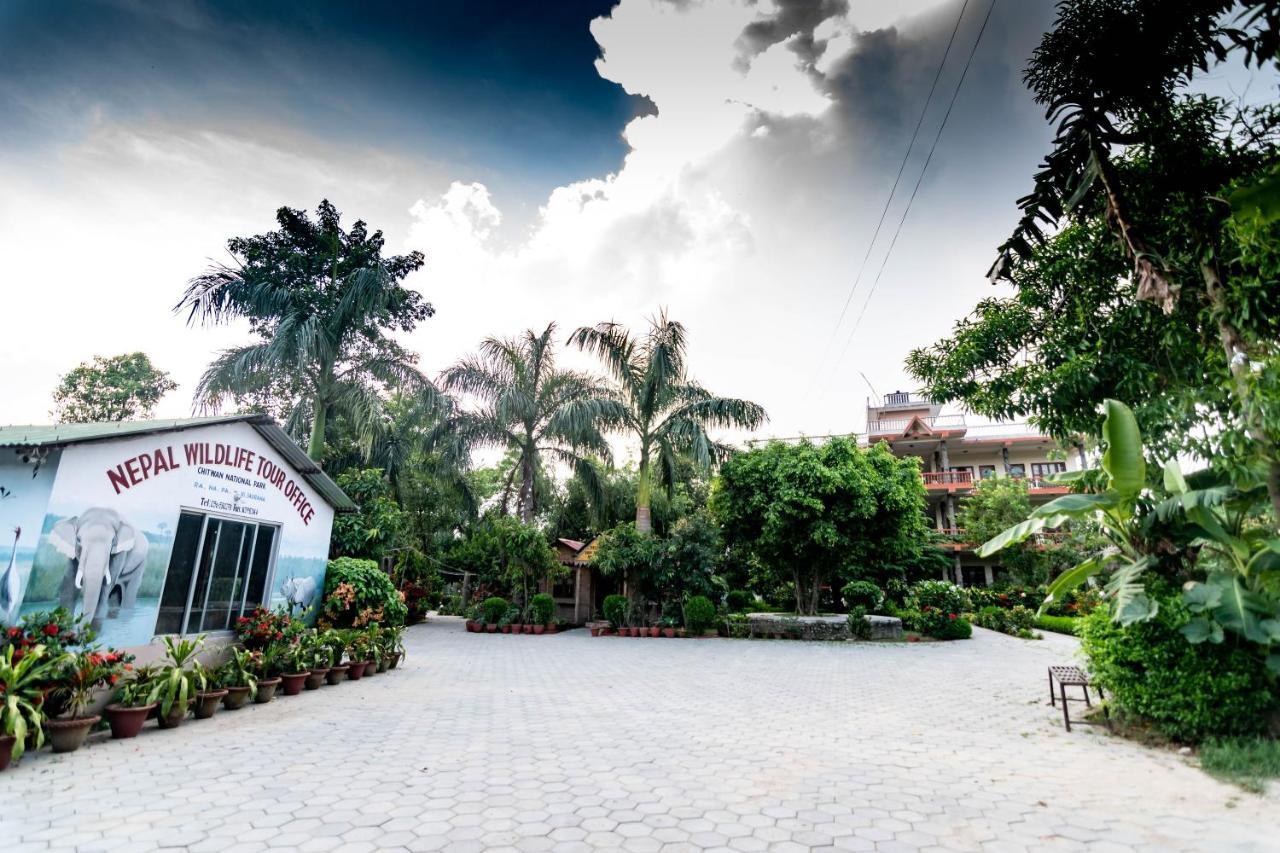 סאורהה Eden Jungle Resort מראה חיצוני תמונה