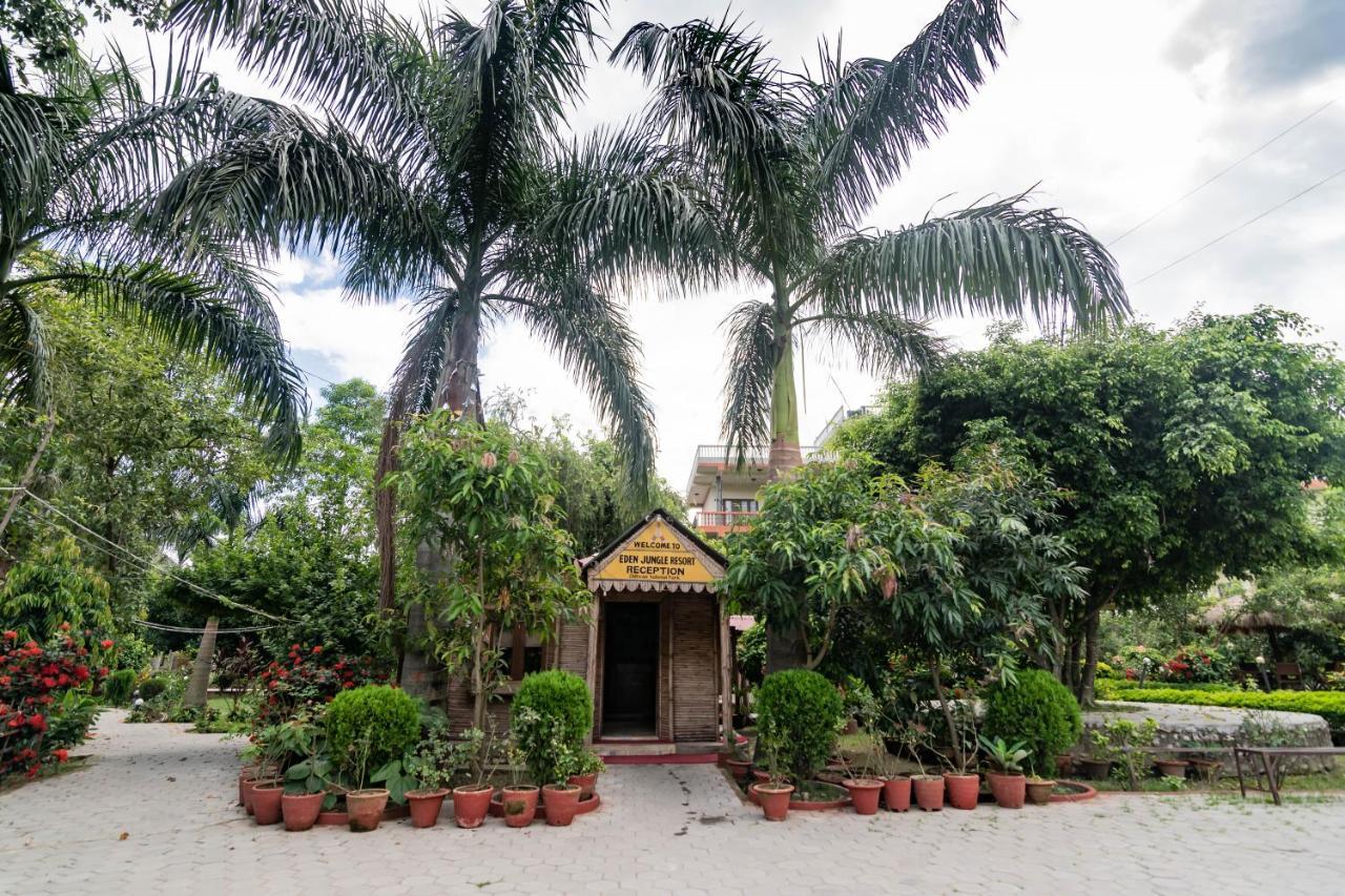 סאורהה Eden Jungle Resort מראה חיצוני תמונה