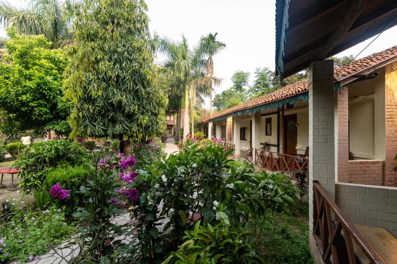 סאורהה Eden Jungle Resort מראה חיצוני תמונה